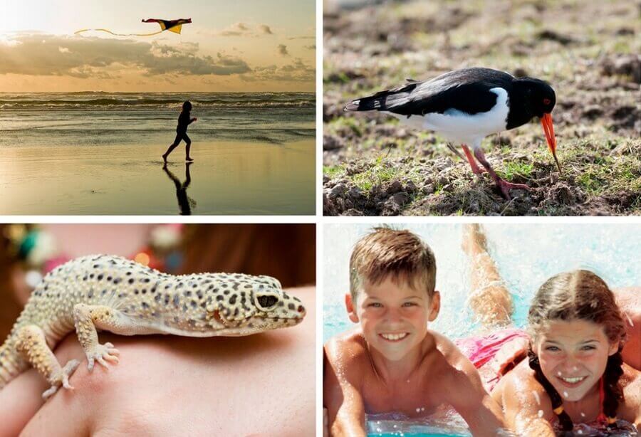 Top Family Activities in North Norfolk this February and March