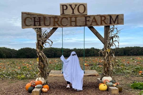 Person dressed in white sheet and sunglasses imitating a ghost, sitting on a rustic wooden swing with a sign that reads "PYO Church Farm" in front of a pumpkin patch,